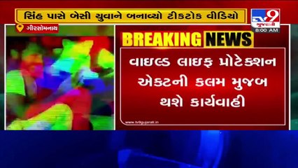 Gir Somnath_ 2 TikTok users held for making video clips by standing near lions_ TV9News