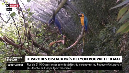 Tourisme : le parc des oiseaux de Villars-les-Dombes va rouvrir ses portes