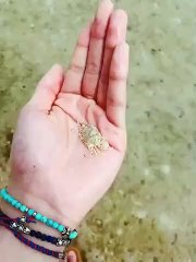 Rap Monster đăng Twiter hình chú cua dễ thương