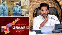 Coronavirus : Positive Cases Rising In AP,43 Positive Cases In 24 Hours