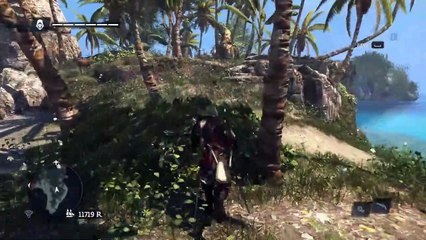 Test assassin's creed black flag un jeu si dur que ça ?