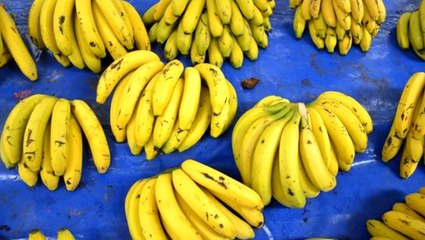 Anamur muzu hem lezzeti hem de fiyatıyla cezbediyor