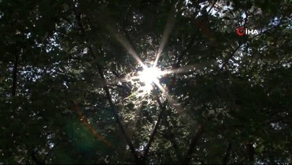 Yeni hafta batıya yazı getiriyor