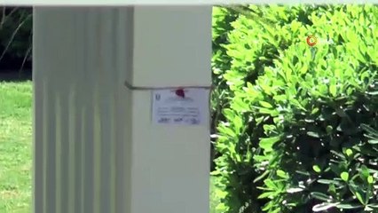 Yılmaz Özdil’in evi mühürlendi, encümenden yıkım kararı çıktı