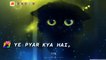 Ab Jane Hum,Ye Pyar Kya Hai,Darde Jigar ☹️ lyrics WhatsApp status