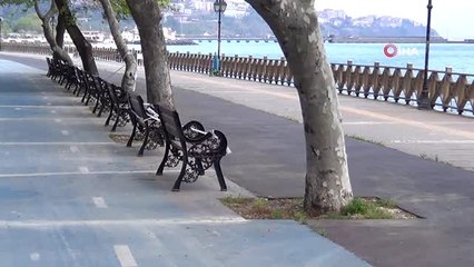 Sokağa çıkma kısıtlaması nedeniyle boş kalan sahil martılara emanet