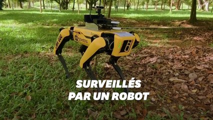 Un robot fait respecter la distance sociale dans un parc de Singapour