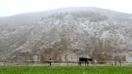 Erzurum'un yüksek kesimlerine kar yağdı