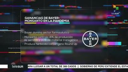 Impacto Económico: Anuncian reinicio de actividades en Perú
