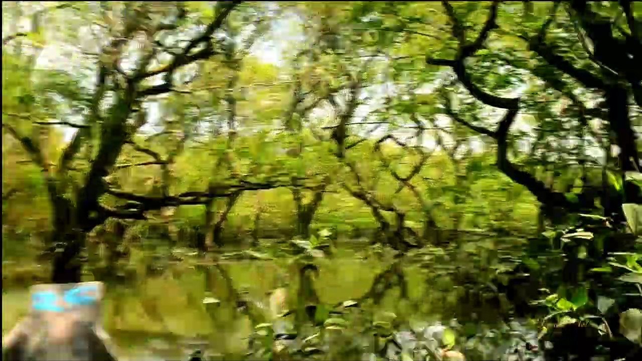 Top 10 Places You Need To Visit In Bangladesh | Most Visited Places in BD 2019-20 | Unknown Theory