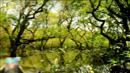 Top 10 Places You Need To Visit In Bangladesh | Most Visited Places in BD 2019-20 | Unknown Theory