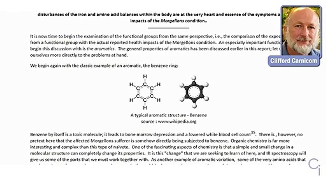 Morgellons-A_Working_Hypothesis-Web_Conference-Part_2b