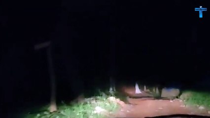 Top 7 Scary Videos You Can’t Handle Watching Through