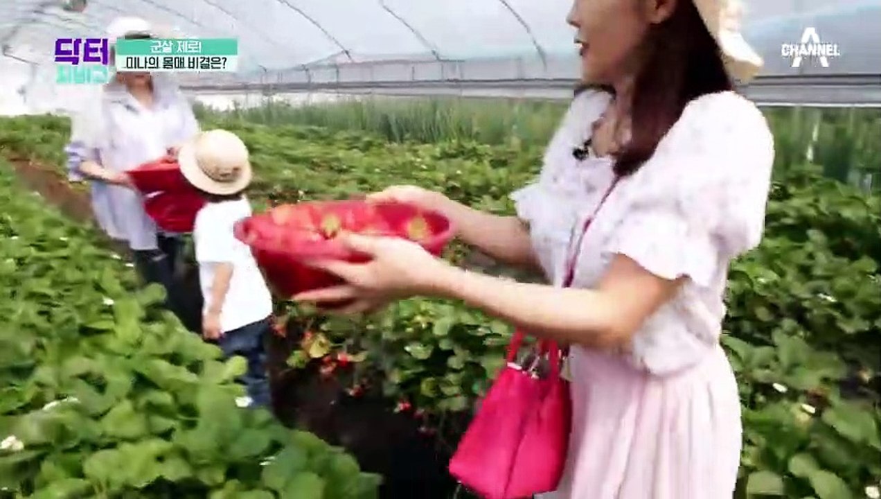 군살 제로 미나의 몸매 비결!? 몸속 독소 배출 돕는 새싹보리!