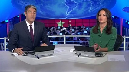 Ataques de vespas assassinas na China em 2013