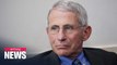 Fauci warns U.S. could face 'needless suffering and death' if it reopens prematurely