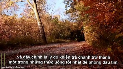 7 lợi ích tuyệt vời của trà chanh