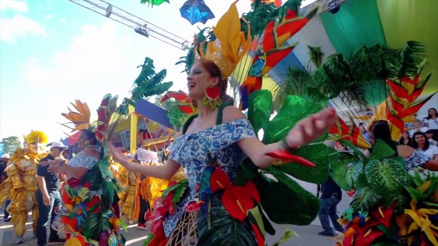 Color Visión EN VIVO (1168)