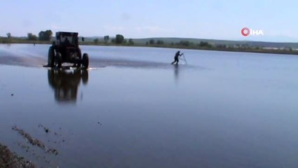 Manyas'ta çeltik ekimi başladı