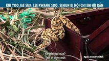 KHI YOO JAE SUK, LEE KWANG SOO, SEHUN BỊ HỘI CHỊ EM HÙ RẮN