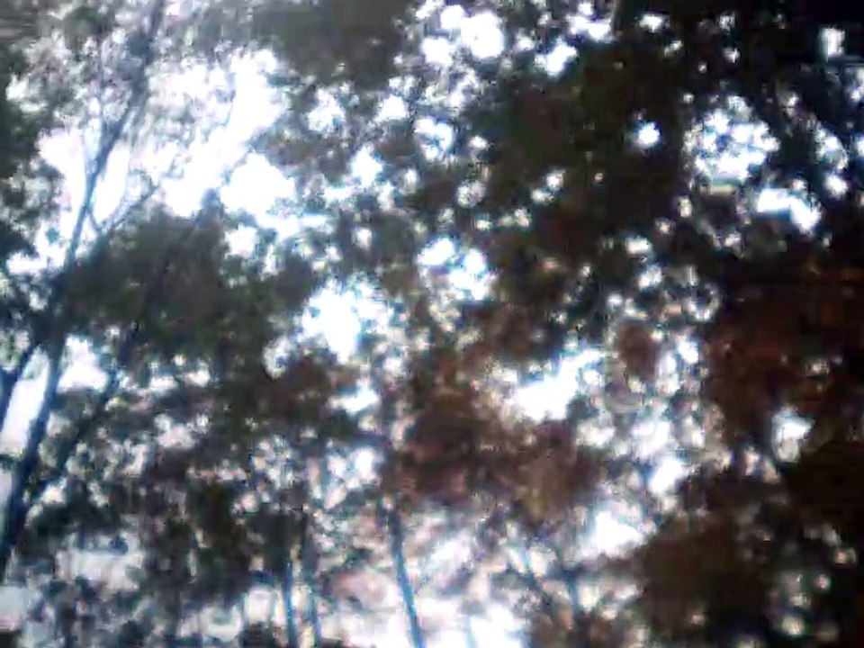 kalinka second balalaika and vocals