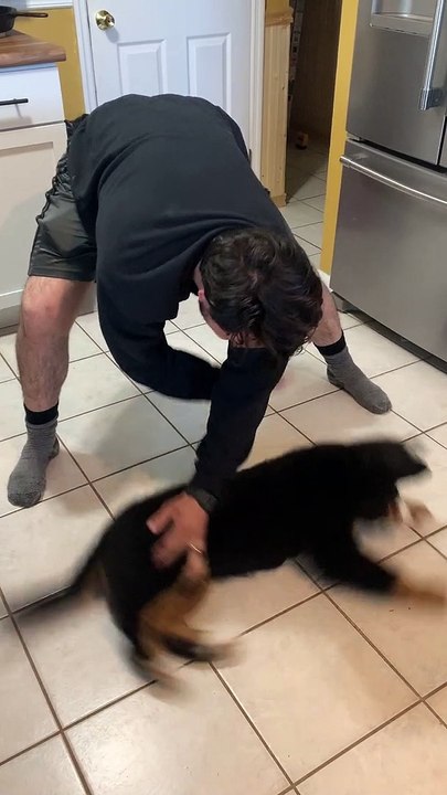 Dad Makes Puppy a Bit Dizzy