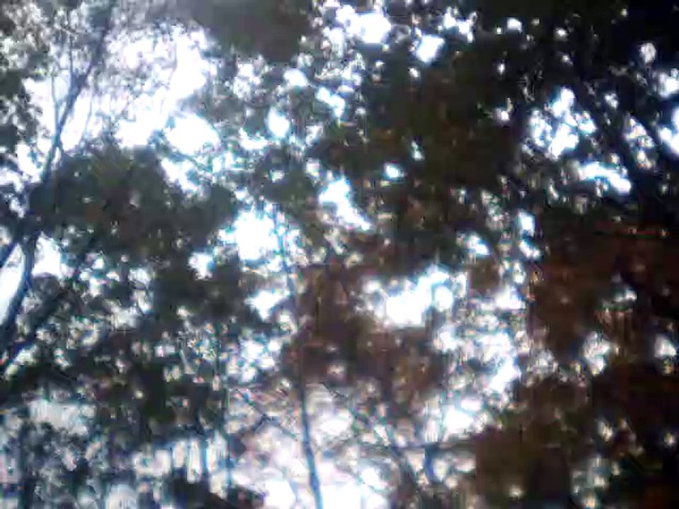 kalinka second balalaika