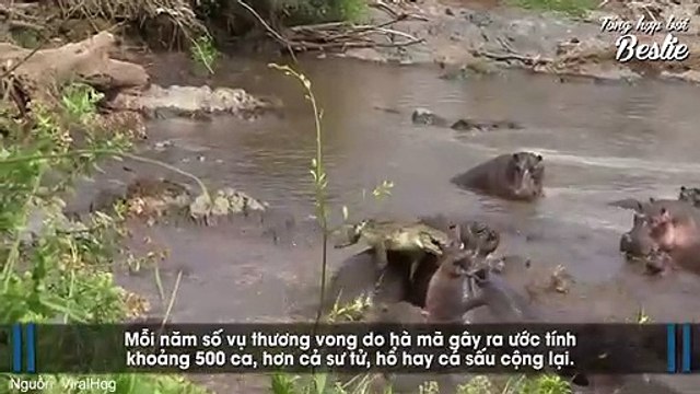 Những sự thật về các loài vật mà sách giáo khoa không bao giờ để cập đến