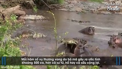 Những sự thật về các loài vật mà sách giáo khoa không bao giờ để cập đến