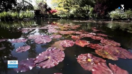 Jardin de Giverny : la maison de Monet à l'épreuve du confinement