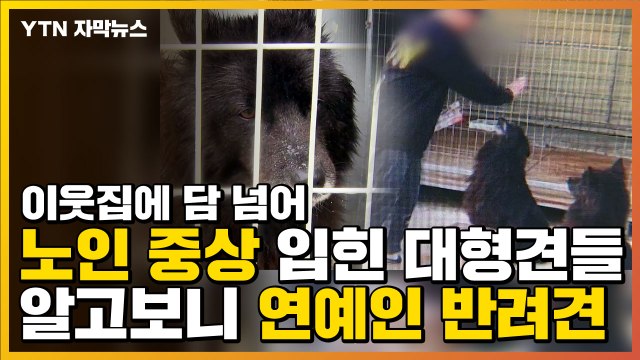 [자막뉴스] 담 넘어 노인 중상 입힌 대형견들...알고보니 연예인 반려견 / YTN