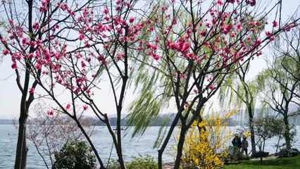 Tea Music 3_3 On the Other Side of the Water 在水一方