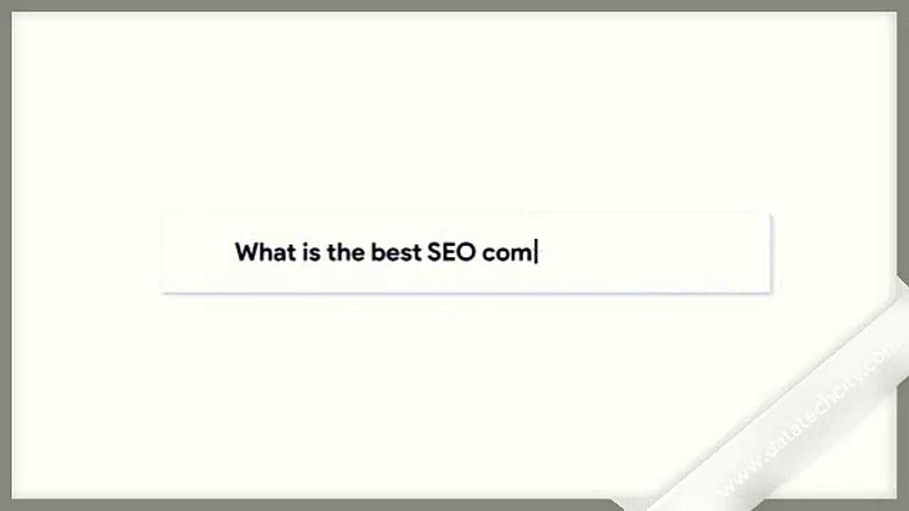 seo windsor