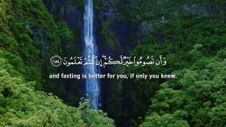The most calming Quran recitation - Ramadan تلاوة هادئة - القارئ عمر هشام العربي  W/Multi Subs