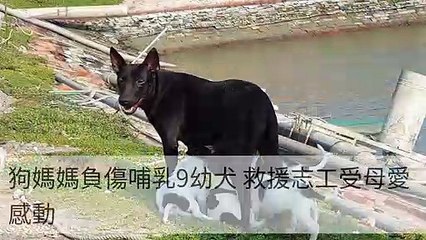 taronews.tw-copy2-20200510-08:38