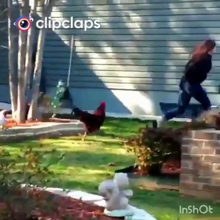 school college tik tok।Bangladeshi school college girls tik tok musically video।