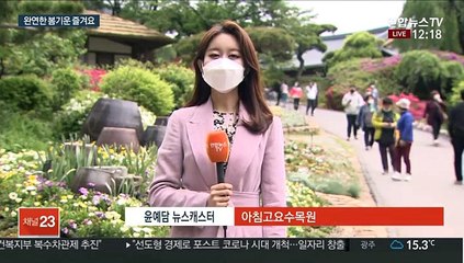 봄내음 절정 봄꽃 속으로 나들이 떠나요