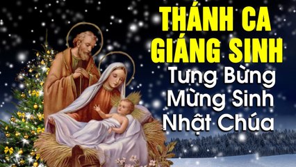 Thánh Ca Giáng Sinh 2020 TƯNG BỪNG SINH NHẬT CHÚA - TOP Những Ca Khúc Giáng Sinh Noel Hay Nhất 2020