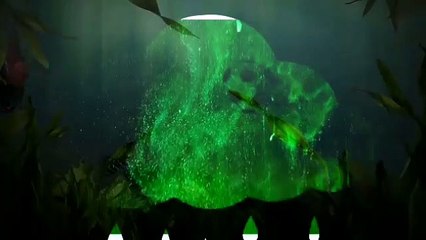 Fish and football aquarium editing