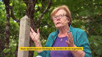 Coronavirus : un nouveau foyer épidémique découvert en Dordogne