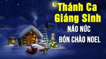 Thánh Ca Giáng Sinh NÁO NỨC ĐÓN CHÀO NOEL - Những Ca Khúc Thánh Ca Giáng Sinh Noel Hay Nhất 2020