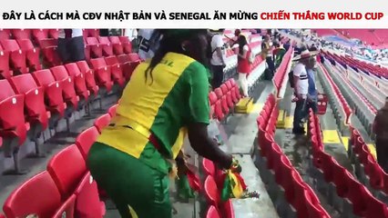 ĐÂY LÀ CÁCH MÀ CĐV NHẬT BẢN VÀ SENEGAL ĂN MỪNG CHIẾN THẮNG WORLD CUP