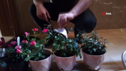 80 yaşındaki anneye çocuklarından sürpriz kutlama