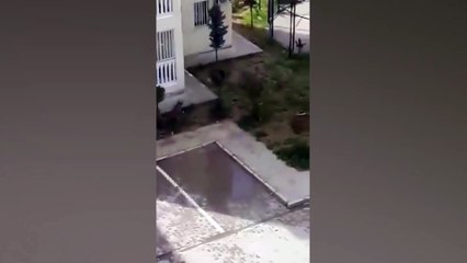 EGM: Nusaybin'deki olayla ilgili hakkında soruşturma başlatılan polis görevden el çektirildi