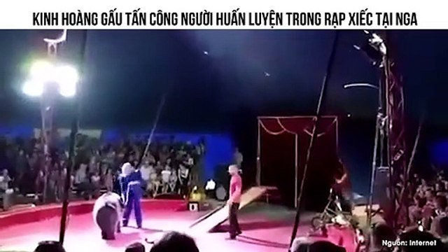KINH HOÀNG GẤU TẤN CÔNG NGƯỜI HUẤN LUYỆN TRONG RẠP XIẾC TẠI NGA