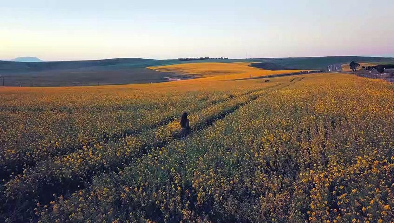 The Beauty of PLANET EARTH 4K by motivprime