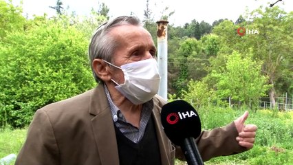 75 Yaşındaki Şeker Dede, Bahçesinde Yetiştirdiği Baklaları İhtiyaç Sahiplerine Ulaştırmak İstiyor