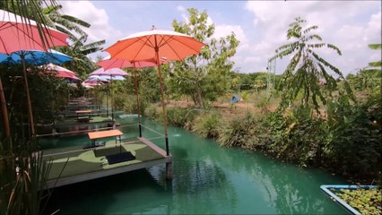 Coffee view cafe' @nonthaburi by yossathorn orchid in Thailand