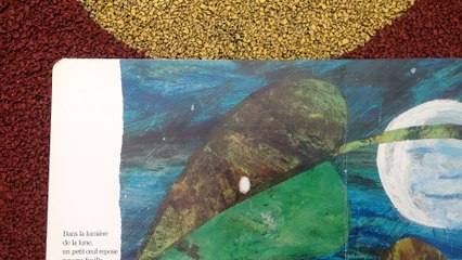 la chenille qui fait des trous histoire 1 lubeck