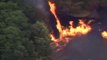 Fire Tornado Video - AMAZING Fire Vortex _ Twister _ Firenado Footage